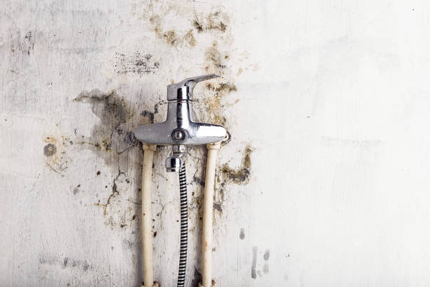 Professional Mold Remediation in Enterprise, AL