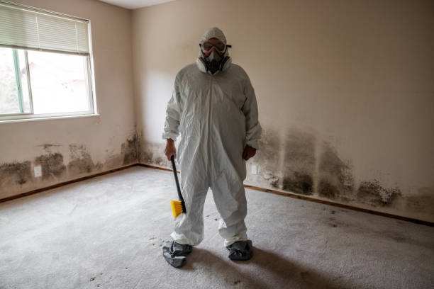 Best Post-Flood Mold Remediation in Enterprise, AL